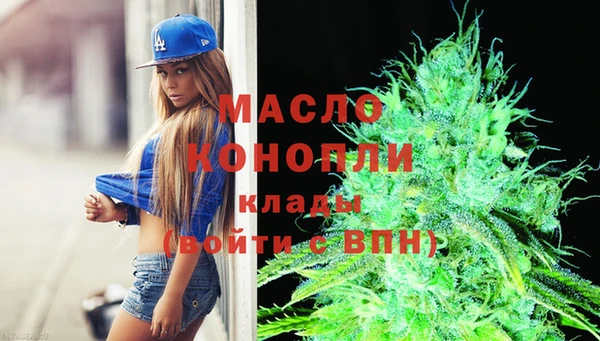 молекула духа Карпинск