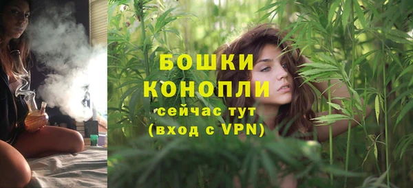 молекула духа Карпинск
