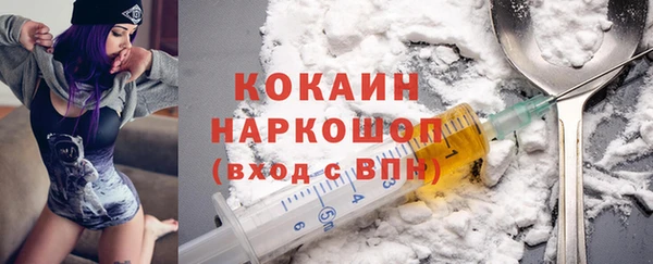 молекула духа Карпинск