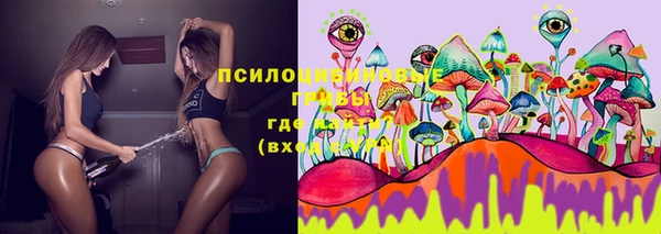 молекула духа Карпинск