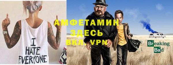 молекула духа Карпинск