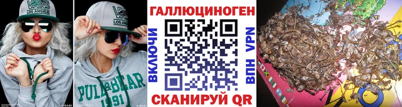 Купить закладки  Сибай  Галлюциногенные грибы мухоморы 